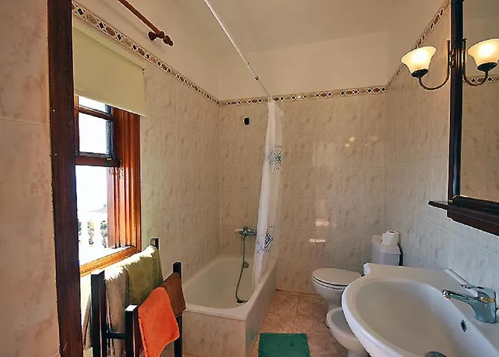 Palmeras B * Arecida